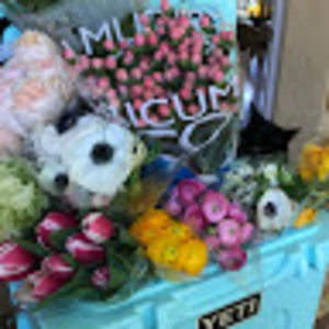 Meet your Posher, Shawn